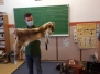 Farkas Ádám előadása a Budakeszi Vadaspark állataival, preparátumaival